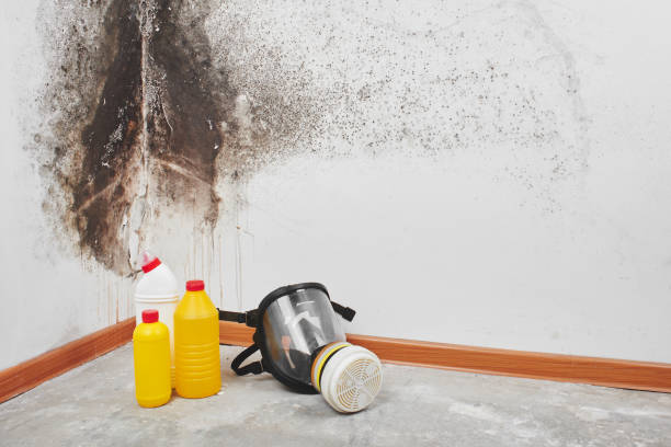 Crawl Space Mold Removal in West Burlington, IA