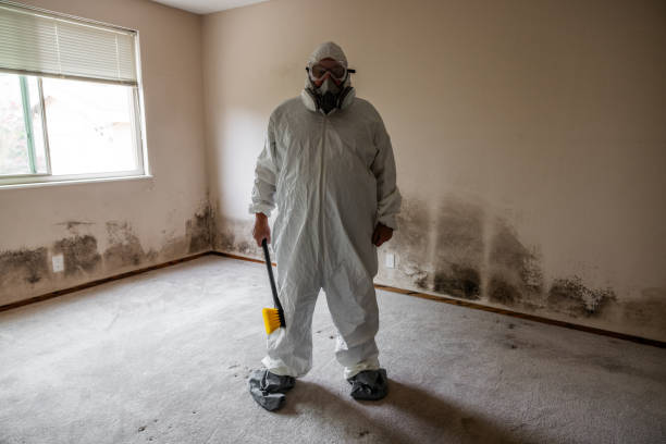 Best Crawl Space Mold Removal  in West Burlington, IA